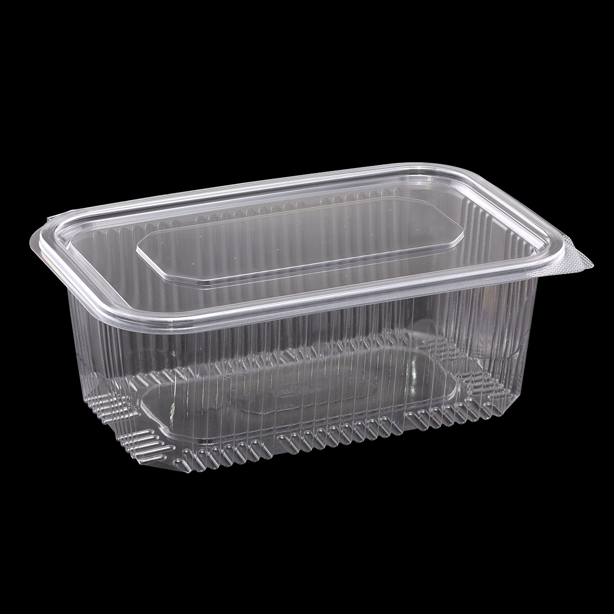 1000cc Hinged Lid Food Container (ep-108) – Erva Plastik