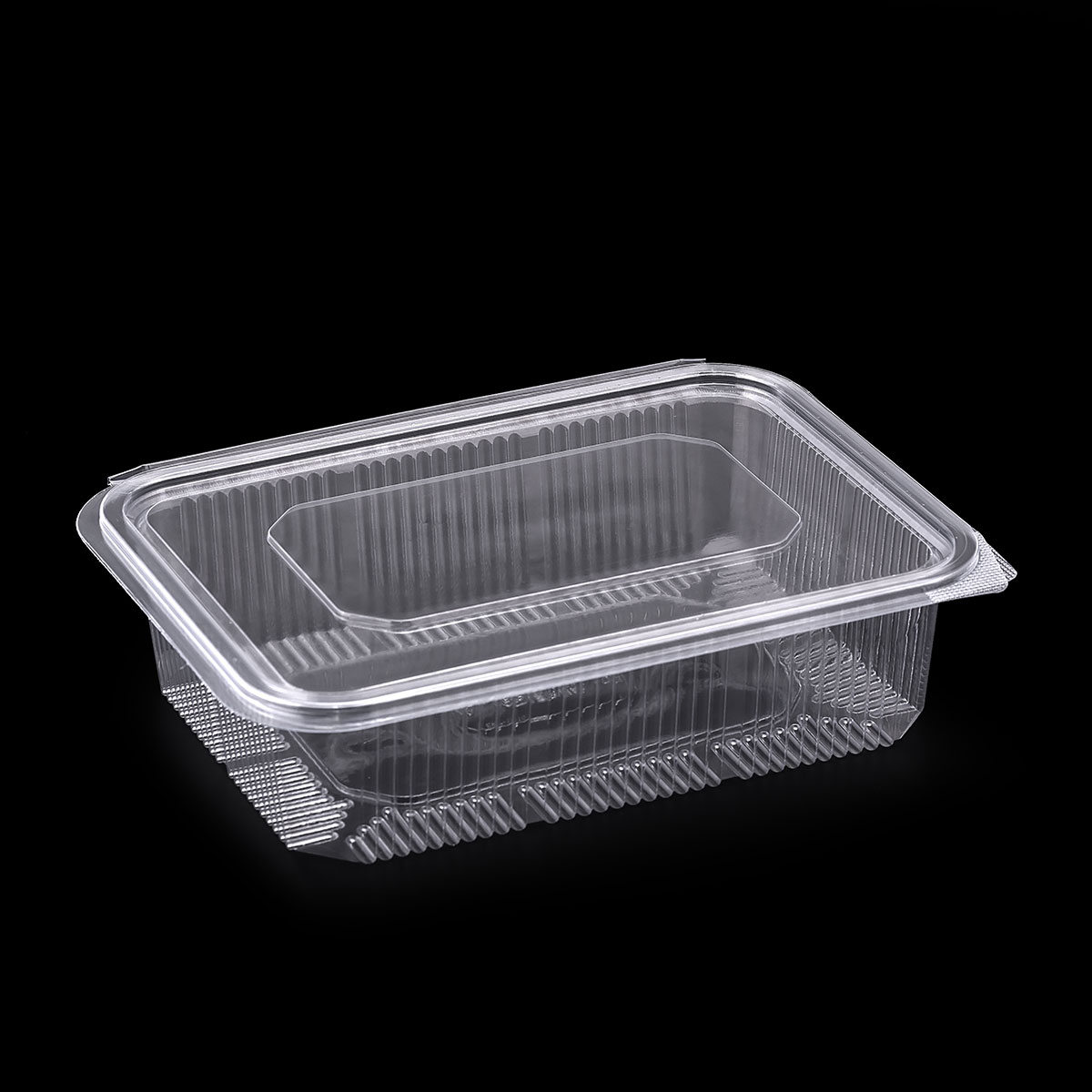 1250cc Hinged Lid Food Container (EP-110) – Erva Plastik | Tek ...