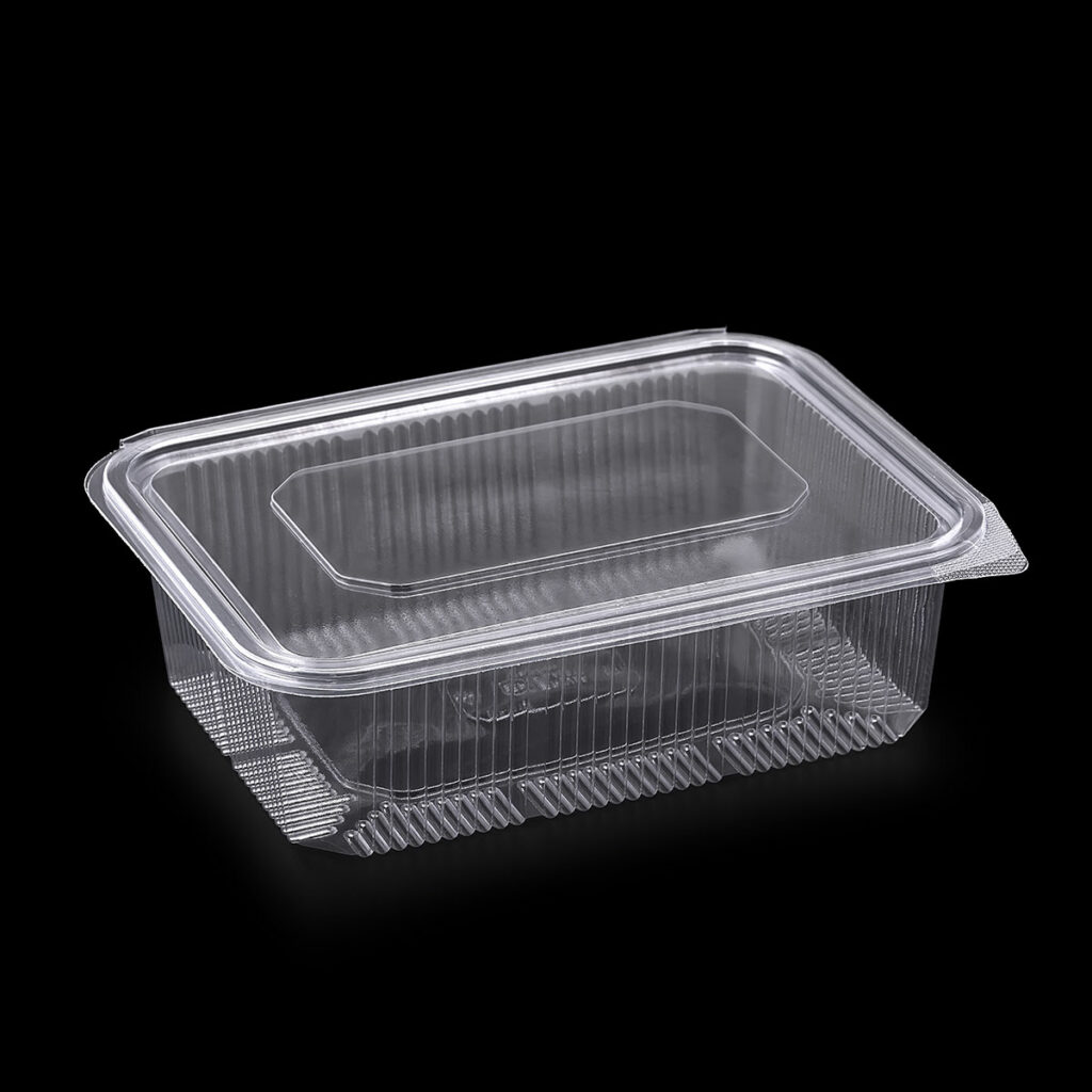 1500cc Hinged Lid Food Container (EP-112) – Erva Plast | Tek ...